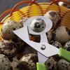 Pigeon Quail Egg Scissor Bird Cutter Opener Egg Slicers Kitchen Tool Clipper