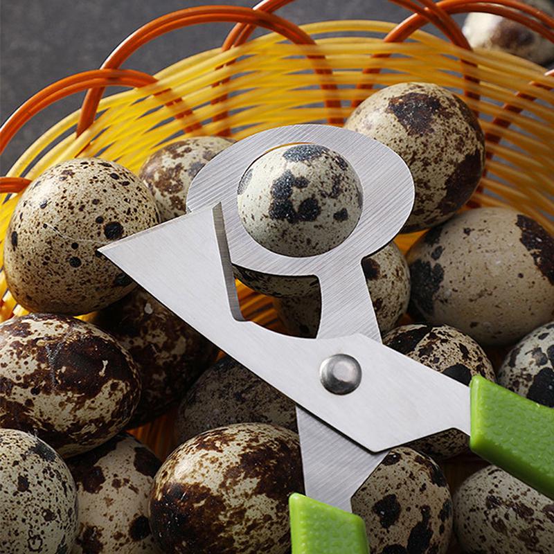 Pigeon Quail Egg Scissor Bird Cutter Opener Egg Slicers Kitchen Tool Clipper
