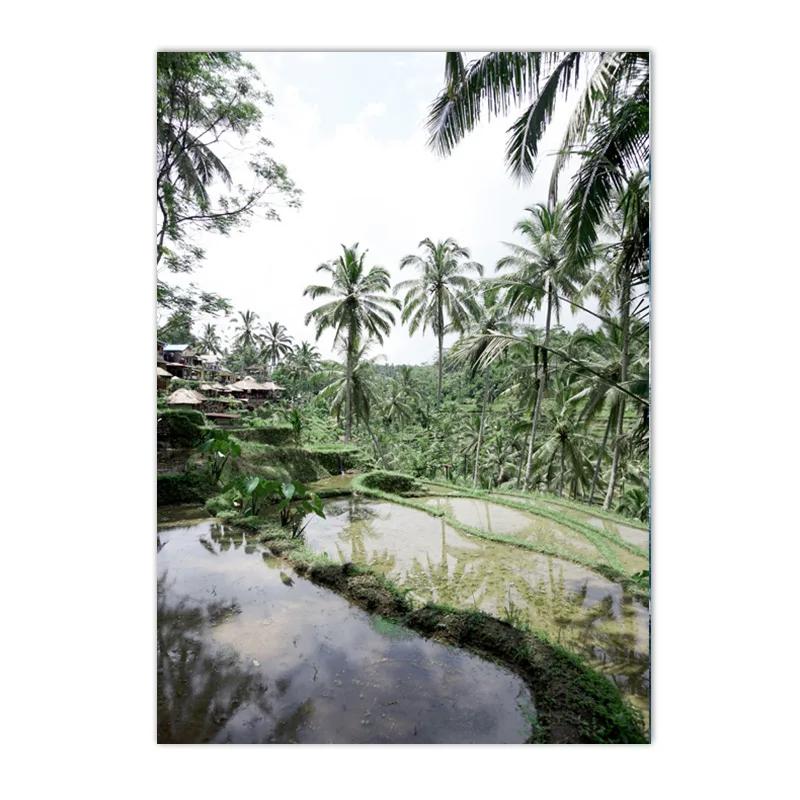 Nordic Green Forest Grassland Lake Landscape Poster Valley Path Boat Wall Art Canvas Painting Pictures Living Room Home Decor