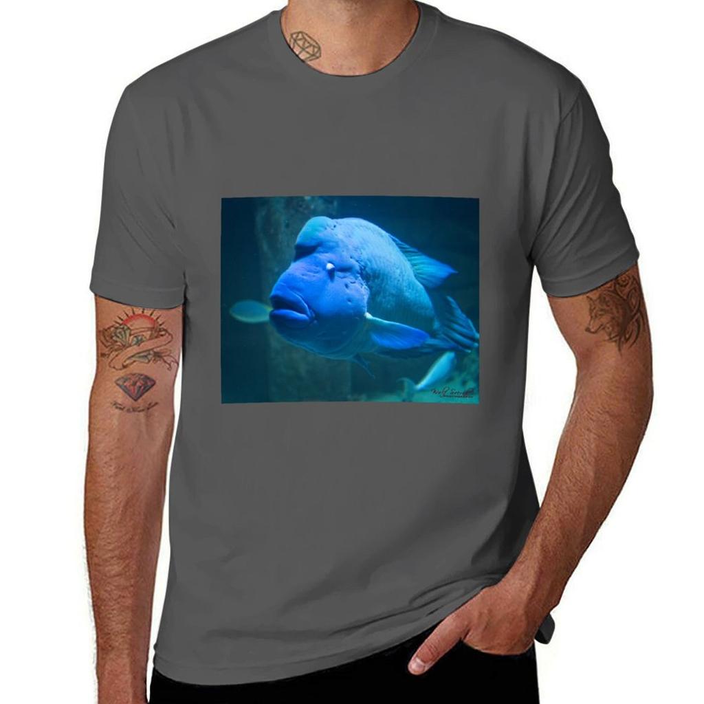 Animal Portrait - Maori Wrasse (1) T-shirt T Shirts For Man Slim Fit Funny T Shirts Man Funny T Shirts Cotton T-shirt
