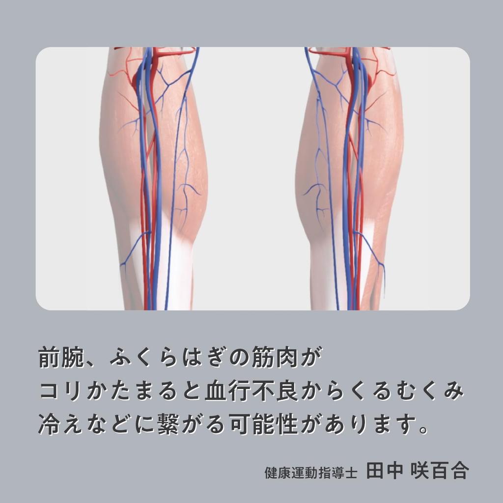 Maxell Cordless Foot Massager for and A great gift for Respect for the Aged Medical MXHT-F100 Legs, Calves, Arms. Day. [Regulated Device]