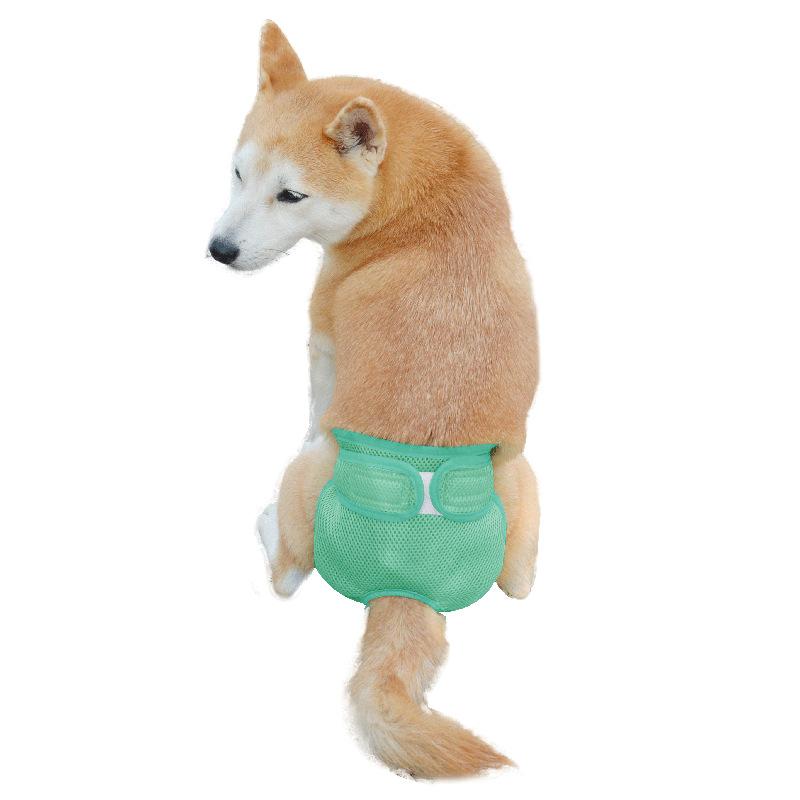 Breathable mesh hole pet physiological pants, Velcro female dog panties, adjustable waistline dog polite belt hot sale