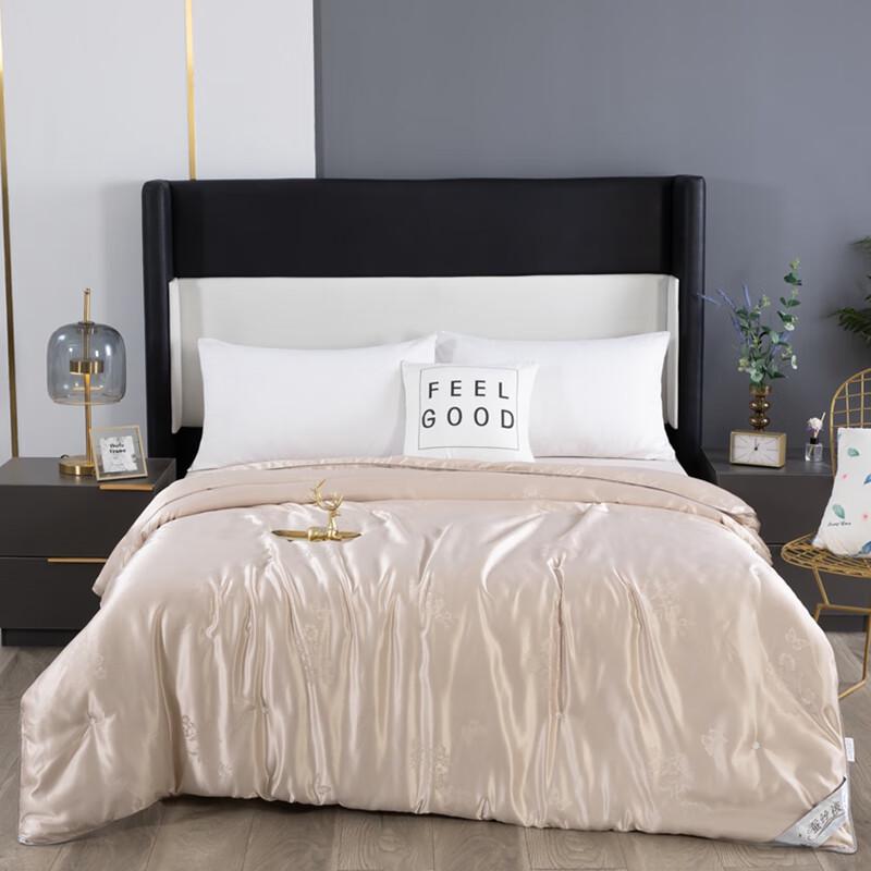 

Jiaohaoyun Handmade Jacquard Silk Blend Winter Quilt