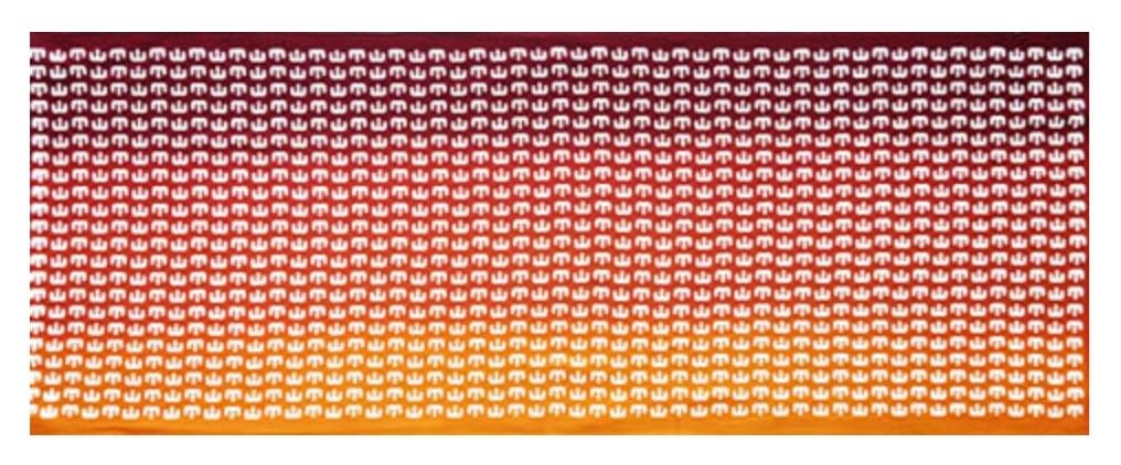 

Todaya Shoten Tenugui Pear-dyed Towel, Momijiyama, 984-R білий