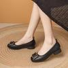 2025 Autumn New Shallow Single Shoes Women's Soft Leather Soft-soled Mother Shoes One Pedal Shallow Mouth Versatile Square Head Thick Heel Shoes