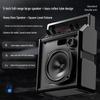 Philips SD50X Portable PA Speaker System