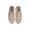 Nike Dunk Low Terry Swoosh Women Sneakers DZ4706-200