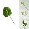 Frozen Elegant Artificial Flower Decor For Home And Photography