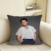 N-Niall Horan Cushion Cover Natural Linen Pillowcase Set, All-In-One Decor For Sofa, Bedroom & Chair