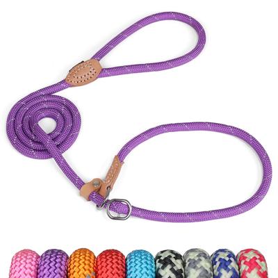 Grand Line Pet Slip Lead Rope for Extra Large Dogs and Cats Purple X 150cm Small, Medium, Large, - 1.5m 0.6cm