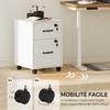 Mobile Office Pedestal, 2 Drawers, Casters, Hanging Letter-Size Documents, White