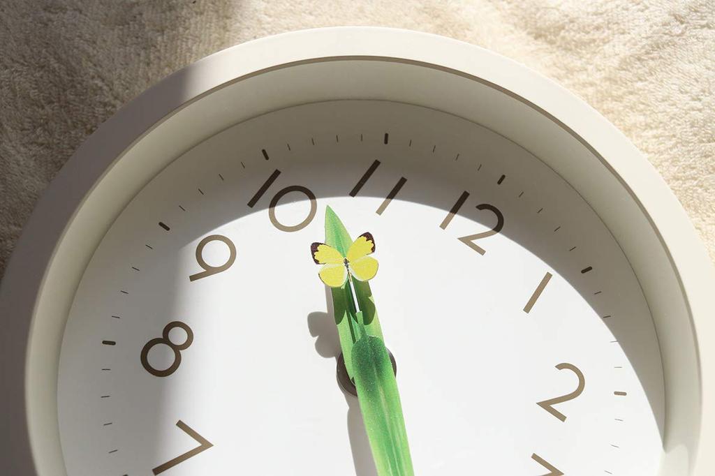 Lemnos Analog Wall/Table Clock Mini Perch Clock (Monki Lemnos) SUR20-06