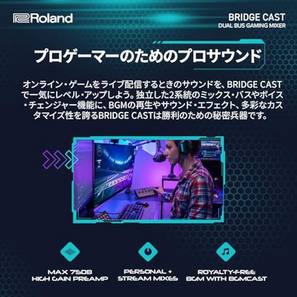 Roland Roland BRIDGE Cast/Gaming DAC Amplifier/Audio Interface/Distribution/Gaming Mixer/Audio Mi...