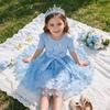 Girls Butterfly Tulle Dress, Art Print,Cute Princess Party Dress with Bow, Short Sleeve Summer Dress for Little Girls
