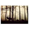 Leinwandbild, Tiere in Waldlandschaft