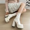 Fashion Women's Thick Heel Shoes Autumn New Round Head Shallow Mouth Embroidery Thick Sole Anti-slip Wear-resistant High Heels