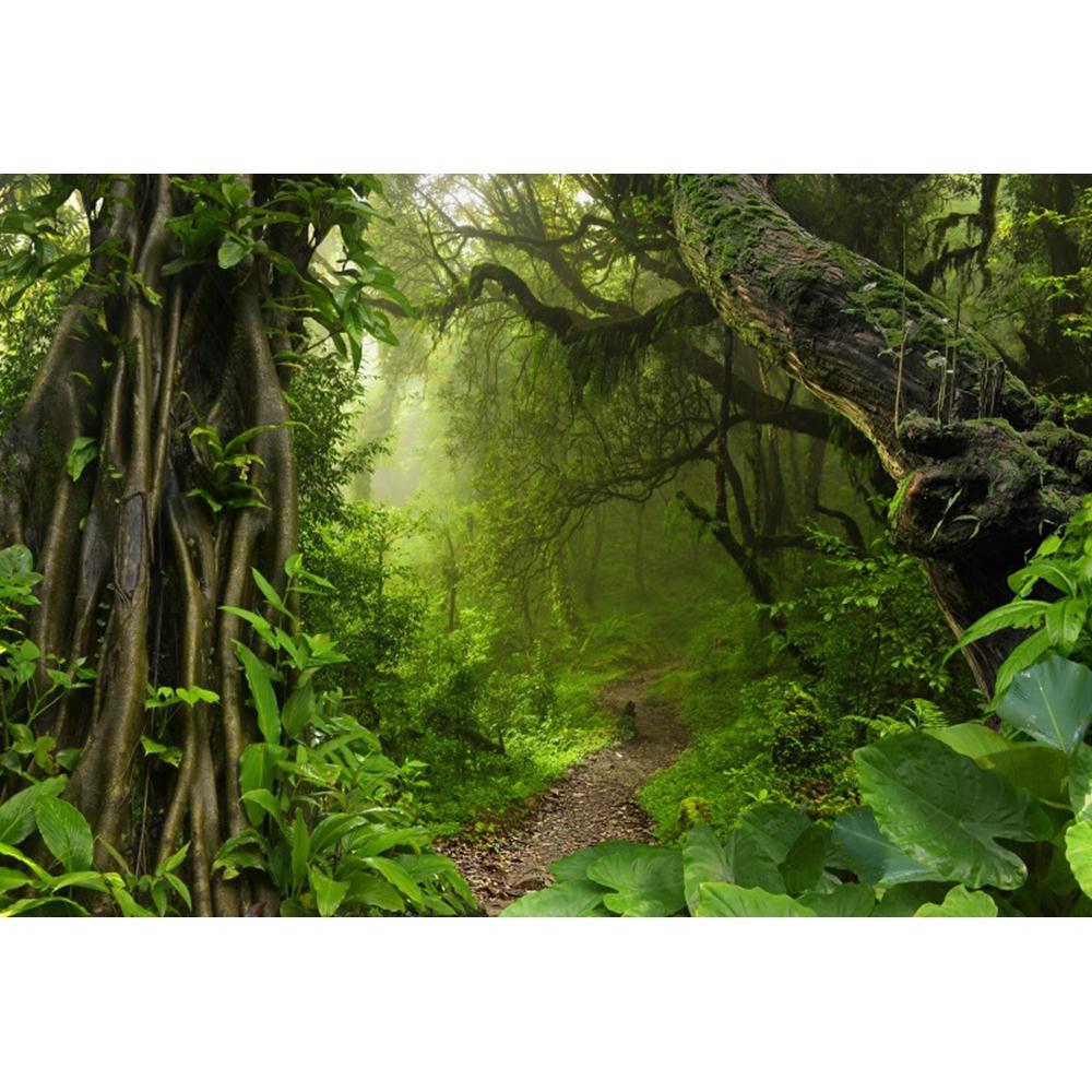 Spring Forest Backdrop Tropical Jungle Rainforest Backdrops for Photography Camping Adventure Birthday Background Photo Studio
