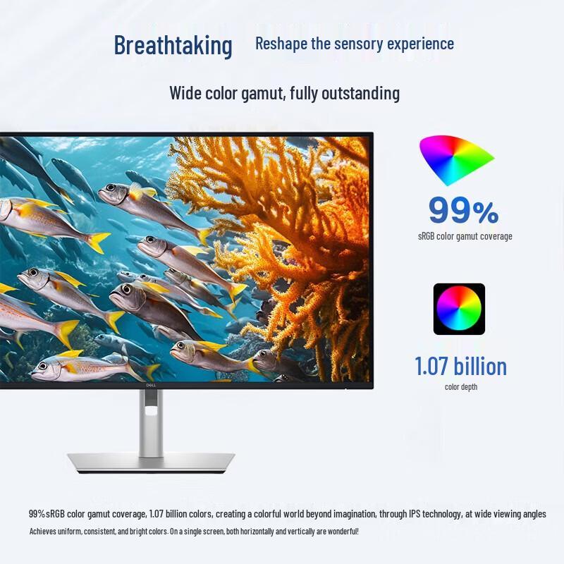 Dell P3225QE 31.5-inch 4K IPS USB-C Office Monitor (CN version)