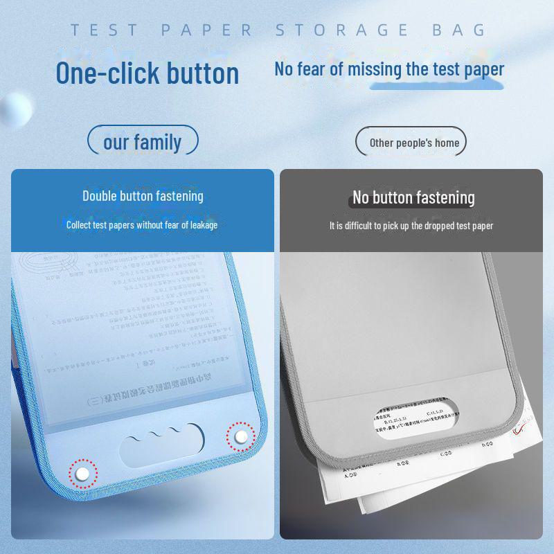 Portable Multi-Layer Accordion Folder: Student A4 Subject Organizer