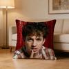 Singer CCharlie Puth Pillow Case for Sofa Living Room Home office Decor Protective Cover