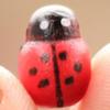 10 Pcs Miniature Ladybug Figurines Tiny Ladybug Animals Statue for Fairy Garden Micro Landscape Decor Cake Topper