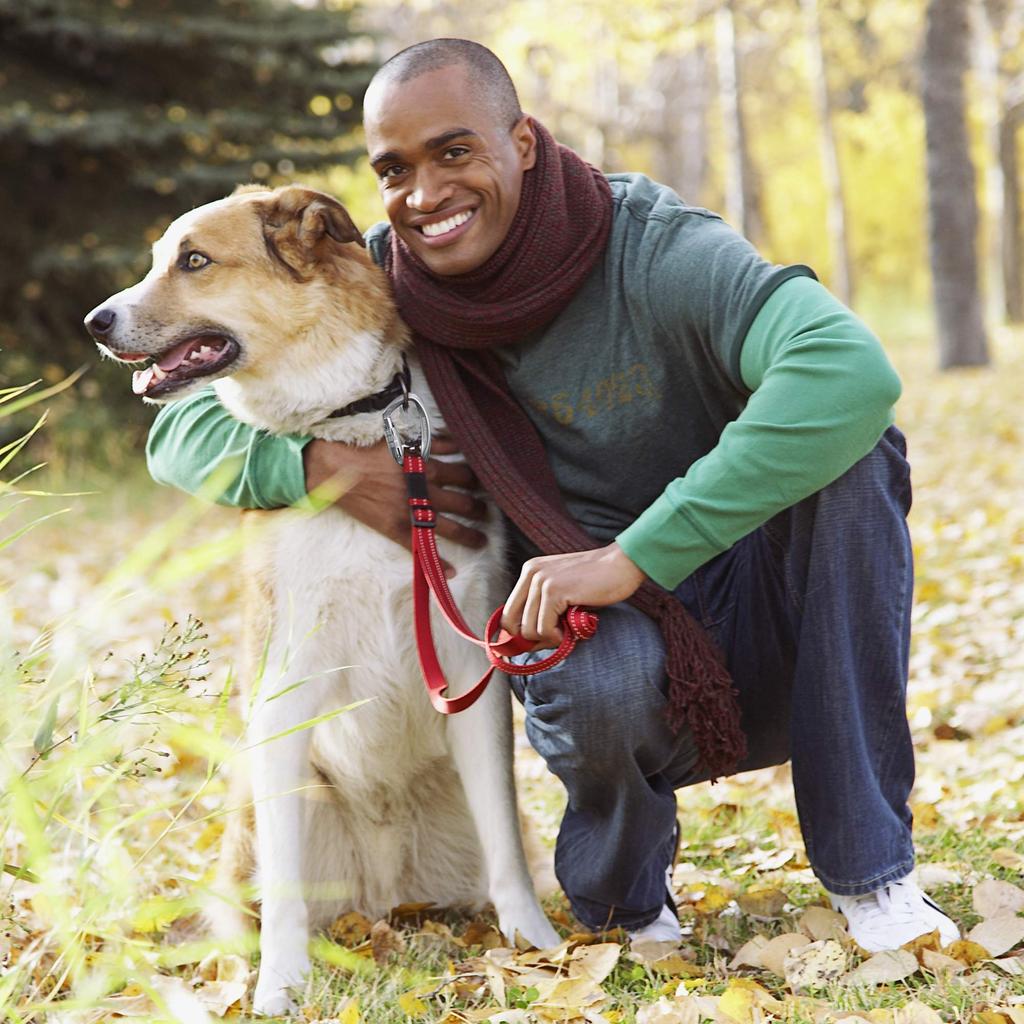 BRAVESHINE 12KN 1200kg Weight Lightweight Locking Carabiner with for Luggage and Dog Set of 2 Auto-Locking Carabiner, Capacity, D-Ring, Hammocks,