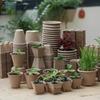 Degradable Pulp Seedling Pot Watermelon and Strawberry Breeding Pots Nutrient Pots Cultivation Cup Planting Pot Nutrition Cups
