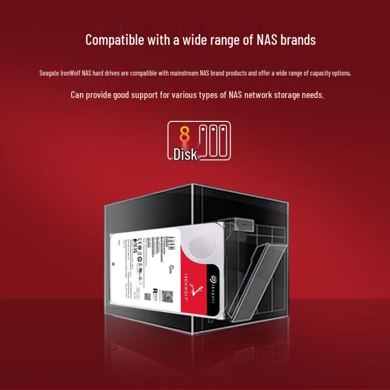 Hikvision Seagate IronWolf 12TB Surveillance Hard Drive CN plug (adapter included)