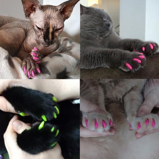 20Pcs Pet Cats Kitten Anti-scratch Grooming Nail Paws Claw Cap Cover Protector