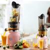 Slow Masticating Juicer 100mm Wide Mouth BPA-Free Juicer Cold Press Juice Quiet Motor Electric Fruit Vegetable Juicer Machine