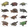 Realistic Turtle Action Figure Simulation Animals Figurines Ocean Life Model Ornaments Toys For Children