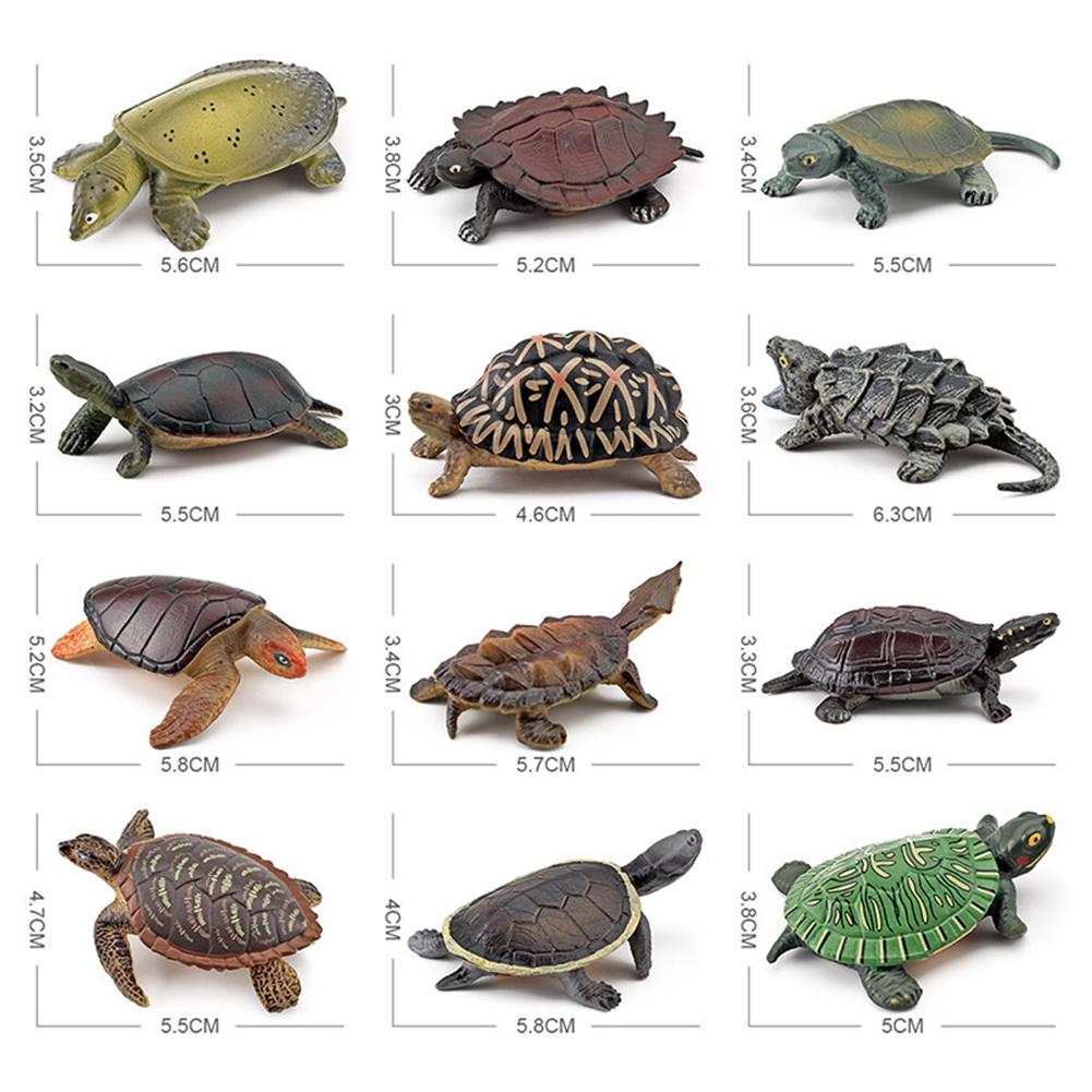 Realistic Turtle Action Figure Simulation Animals Figurines Ocean Life Model Ornaments Toys For Children