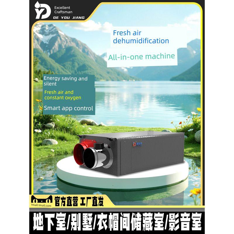 Deyoujiang Fresh Air Ceiling Dehumidifier Office Basement For Home Air Purification All-in-One Machine