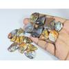 295Cts. Natural Forest Agate Fancy Cabochon Loose Gemstone 17 Pcs Lot C-1953