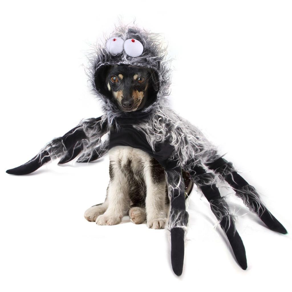 Amanda Pet Halloween Christmas Chest Back Creative Cat Dog Small Dog Spider Costume