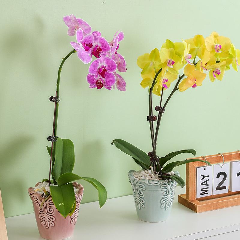 Yaratıcı Seramik Çiçek Saksıları Çiçek Vazosu Kabartma Desenli Çiçek Aranjmanı Aksesuarları Sukulent Bitki Ev Dekorasyonu