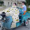 Husa groasă impermeabilă și rezistentă la vânt pentru tricicletă Sun Panda