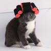 Funny Pet Hat Wig with Hair Rollers Elastic Knitted Lace-up Strap Anti-slip Adorable Curly Hair Cat Party Cosplay Headdress Cat Dog Cap