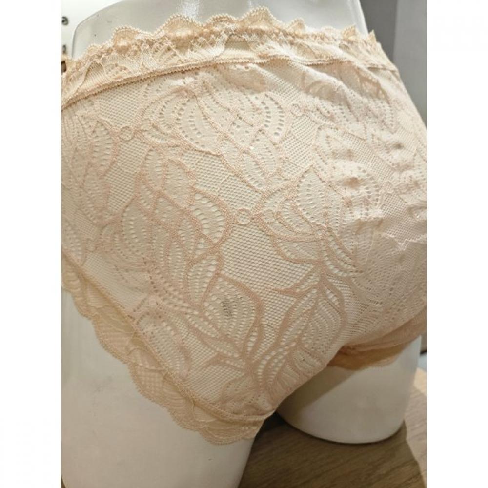 Barbara Pearl Skin Lace Panty Abp4451