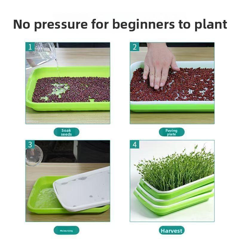 Balcony Garlic Planting Tray