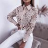 Women's Versatile Spring/Autumn Lace Hollow Long-Sleeve Shirt