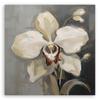 Canvas Print, White Painted Orchid