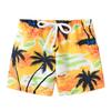Boy's Spring and Summer Casual Shorts Fashion Print  Beach Shorts
