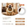 Dog Toy Dog Ball Dog Frisbee Board Popular Dog Toy Rugby Durable Chew Sturdy Ball Hoop Large Dog Frisbee Bone Shaped Puller Rubber ETPU