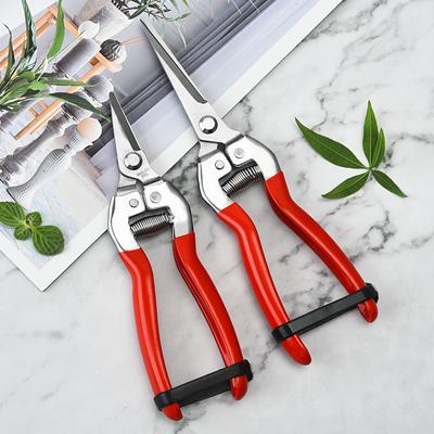 Stainless Steel Pruning Scissors Gardening Scissors Household Fruit Picking Grape Scissors Garden Branch Pruning Tools
