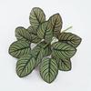 Simulation Plants Leaves Turtle Back Traveler Banana Holiday Party Decor Plastic Peacock Arrowroot Leaf Artificial Green Plant