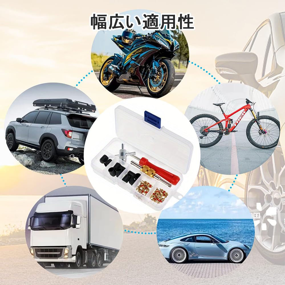 CHANJIF Tire Valve Core 33 Piece Set, Tire Repair Tool,