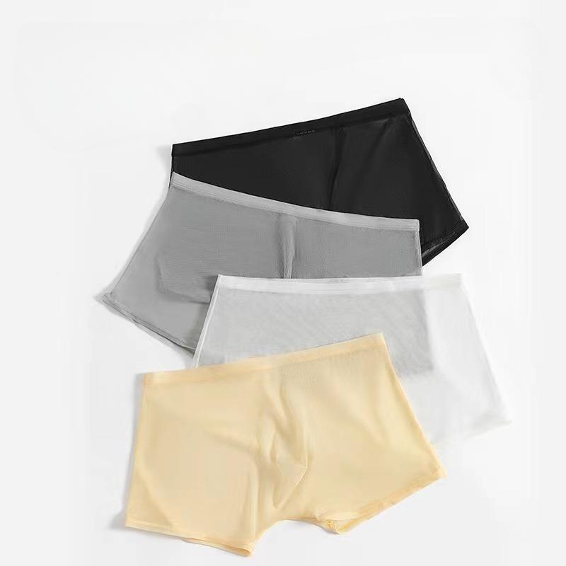 Pánské spodní prádlo Transparentní boxerky Bulge Ice Silk Průhledné spodky Sexy kalhotky Kalhotky s nízkým pasem Spodní prádlo Intimky