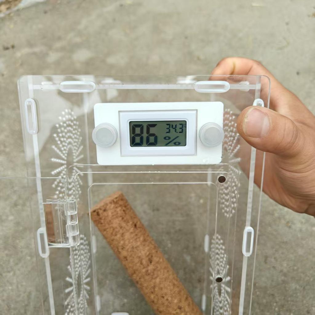 Stable Magnetic Reptiles Tanks Thermometers Holder Easyly Installation Durability ABS Materials For Longevity