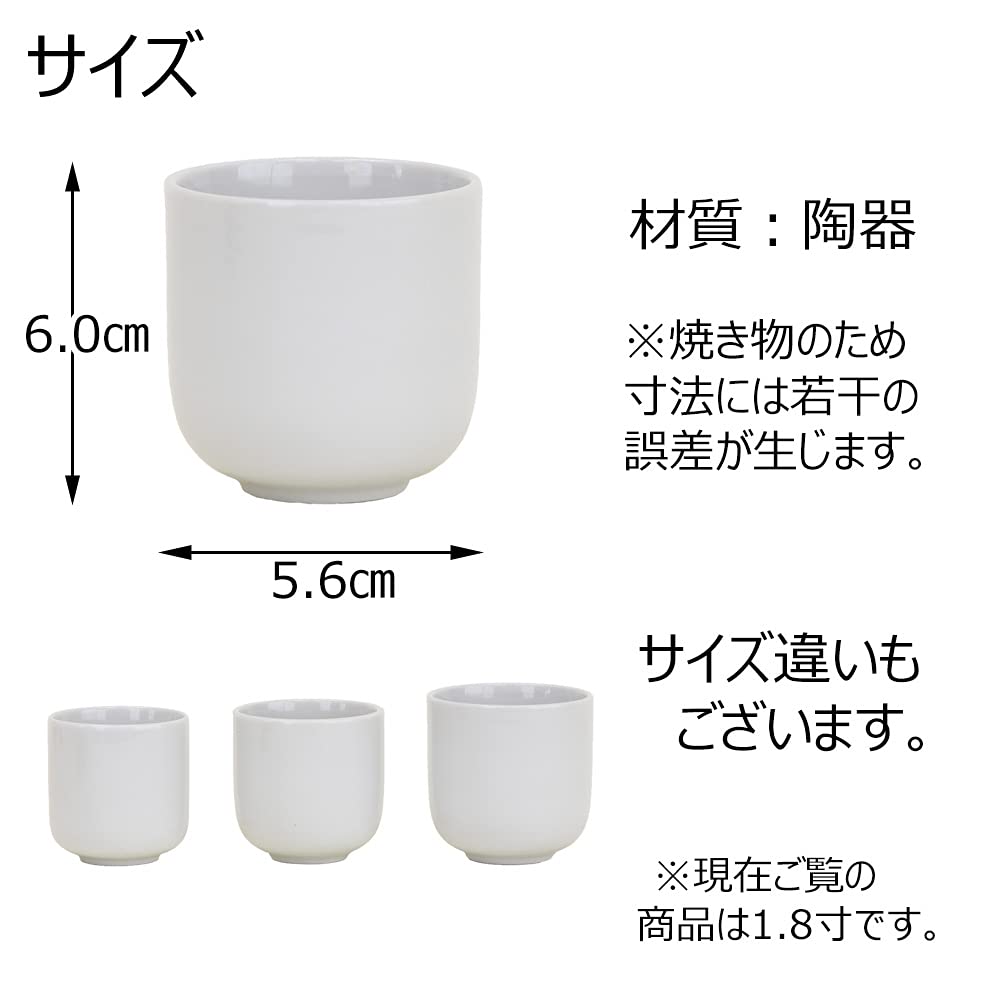 Hasegawa Buddhist Altar Teacup, White, 1.8cm, Buddhist Altar Accessories, Teacup